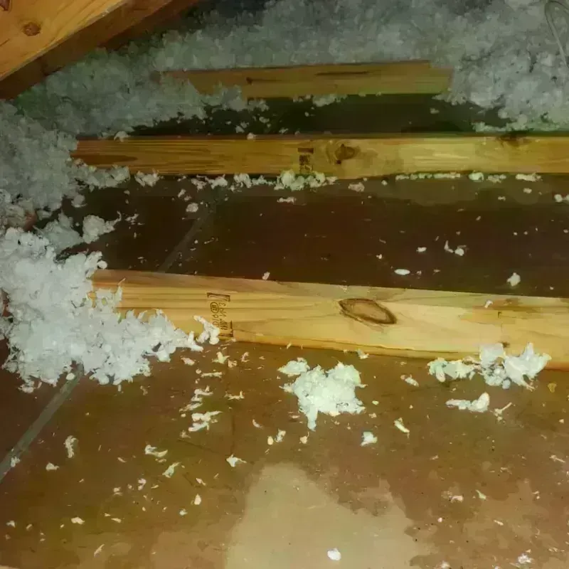 Attic Water Damage in Magee, MS