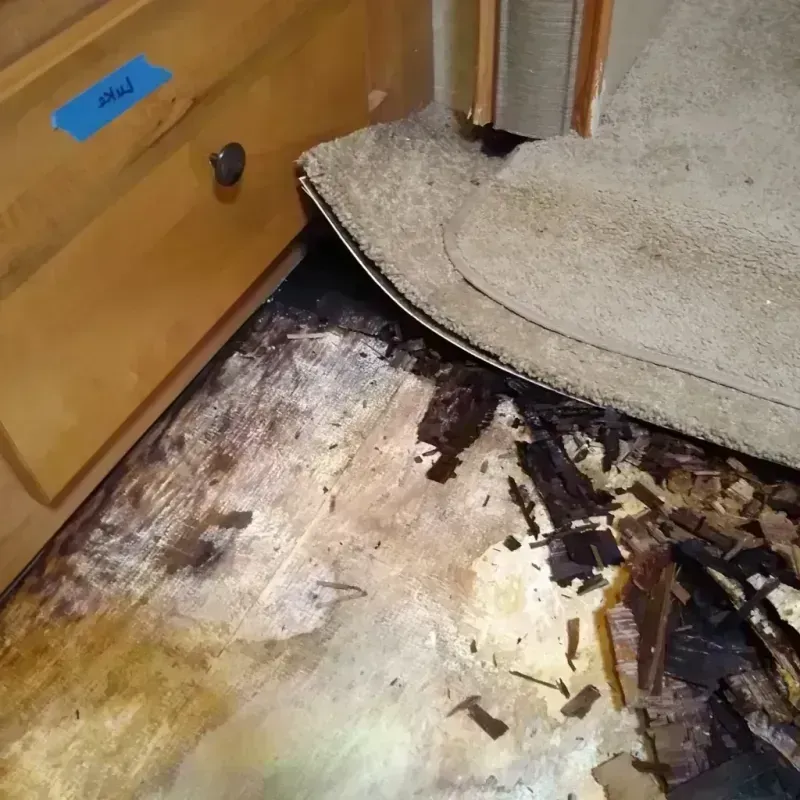 Best Wood Floor Water Damage Service in Magee, MS